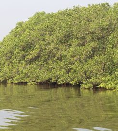 Salim Ali Bird Sanctuary