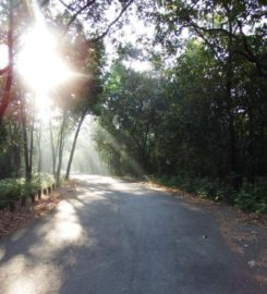 Mhadei Wildlife Sanctuary